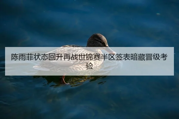 陈雨菲状态回升再战世锦赛半区签表暗藏晋级考验