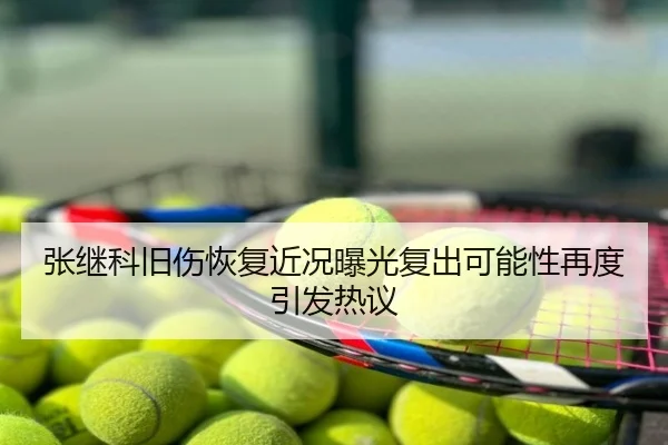 张继科旧伤恢复近况曝光复出可能性再度引发热议