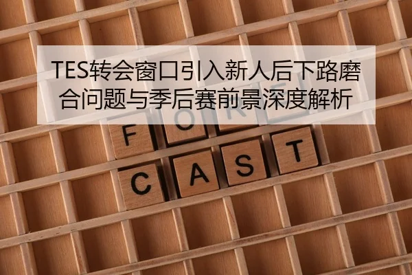 TES转会窗口引入新人后下路磨合问题与季后赛前景深度解析